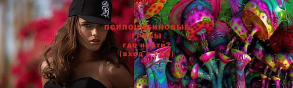 бошки Елизово